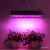 Greenfingers 2000W LED Grow Light Full Spectrum for All Stages, High PAR Value, Indoor Plant Growth, Energy Efficient