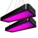 Greenfingers 2X 2000W Full Spectrum LED Grow Lights for Indoor Plants, All Stages, High PAR, Energy Efficient