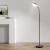 Artiss LED Floor Lamp with Remote, 1.5m Adjustable Gooseneck, Dimmable Light, Aluminium, 3000-6500K, Home Living Room