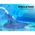 Aquabuddy Automatic Pool Cleaner Vacuum with 10M Hose - Floor & Wall Climber, Adjustable Suction, Silent Operation