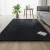 Artiss 140x200cm Black Shaggy Rug - Luxurious High-Pile Polyester Carpet with Foam Cushioning & Anti-Slip Backing