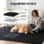Artiss 160x230cm Plush Shaggy Rug - Black Polyester High-Pile Carpet, Anti-Slip, Sound-Absorbing, Living Room/Bedroom