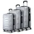 Wanderlite 3pc Luggage Trolley Set, ABS Hard Shell, Silver, 20/24/28", Lightweight, TSA Locks, 360° Spinner Wheels