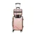 Wanderlite 2pc Luggage Set, ABS Hard Shell, 12" & 20", Rose Gold, Lightweight, TSA Lock, 360° Wheels, Travel Suitcase