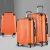 Wanderlite 3pc Luggage Trolley Set, ABS Hard Case, 20"/24"/28", Orange, Lightweight, TSA Lock, Dual Spinner Wheels