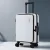 Wanderlite 20" White Carry-On Luggage - ABS Material, Front Pocket, Laptop Compartment, Dual TSA Locks, Spinner Wheels