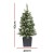 Jingle Jollys 90cm Potted Christmas Tree with Warm White LED Lights, PVC Tips, Bucket Base, Non-Toxic Material