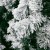 Jingle Jollys 2.4m Snow Flocked Christmas Tree 1165 PVC Tips, Lifelike Bushy Branches, Sturdy Metal Stand, Easy Setup