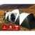 Weisshorn 12-Person Green Dome Tent - Spacious 3-Room Design, UV & Water-Resistant, Easy Setup with Carry Bag