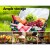 Alfresco Picnic Basket, Insulated Folding Bag Hamper, Durable Polyester, Lightweight Aluminium, 30kg Capacity