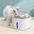 i.Pet Automatic Pet Water Fountain Feeder 2.6L with Motion Sensor, Quiet Pump, Fourfold Filtration, Stainless Steel