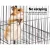 i.Pet Rabbit Cage 142cm Hutch - Multi-Level Metal, Anti-Rust, with Platforms, Ladders, Hammock & Wheels, Black