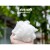 i.Pet 90cm Large Calming Pet Bed – Soft Plush, Non-Slip, Removable Cover, Flea-Resistant, White/Brown