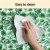 i.Pet Pet Cooling Mat - Large 65x100cm, Self-Cooling Gel Pad, Non-Toxic PVC, Portable & Scratch-Resistant, Green