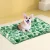 i.Pet Pet Cooling Mat - Large 65x100cm, Self-Cooling Gel Pad, Non-Toxic PVC, Portable & Scratch-Resistant, Green