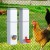 Giantz 4L Chicken Feeder and Water Dispenser Kit, Automatic PVC Poultry Waterer, Gravity Feed, Easy Clean, White Giantz 4L Chicken Feeder and Water Dispenser Kit, Automatic PVC Poultry Waterer, Gravity Feed, Easy Clean, White