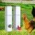 Giantz 4L Chicken Feeder and Water Dispenser Kit, Automatic PVC Poultry Waterer, Gravity Feed, Easy Clean, White
