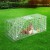 Gardeon Humane Animal Trap Cage - Galvanised Iron, 79x28cm, Collapsible, Spring Loaded Door, Eco-Friendly Pest Control