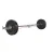Everfit 18kg Barbell Set - 5kg Rubber Weight Plates, 168cm Steel Barbell, 150kg Capacity, Home Gym Fitness
