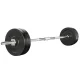 Unbranded Everfit 28kg Barbell Set - Rubber Coated 5kg Plates & 168cm Steel Bar, 150kg Capacity, Home Gym Essential