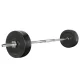 Everfit 48kg Barbell Set: Rubber-Coated Plates, 168cm Steel Bar, 150kg Capacity - Ideal for Home Gym Workouts Everfit 48kg Barbell Set: Rubber-Coated Plates, 168cm Steel Bar, 150kg Capacity - Ideal for Home Gym Workouts