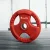 Everfit 15kg Weight Plate Cast Iron Rubber Coated Red Three-Grip Barbell Dumbbell Home Gym Strength Training
