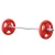 Everfit 36kg Barbell Set with 120cm A3 Alloy Steel Bar, Cast Iron Rubber-Coated Plates, Non-Slip Grip, Home Gym Fitness