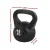 Everfit 16kg Kettlebell Set – Concrete Filled, PE Coating, Non-Slip Handle, Home Gym Weight Training Equipment