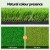 Everfit 2-in-1 Golf Hitting Mat 60cm – Portable Indoor Outdoor Practise Turf with Non-Slip Base, UV Resistant, 3 Tees