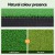 Everfit Golf Hitting Mat 150x150cm Portable Practise Training Aid, Realistic PP Grass, Non-Slip Base, UV Resistant