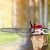 Giantz 62CC 22" Bar Petrol Chainsaw, E-Start, 5.2HP, Anti-Vibration, Quick Tension, Bonus Chain & Safety Gear