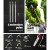 Giantz 62CC 7-in-1 Multi-Tool: Pole Chainsaw, Hedge Trimmer, Brush Cutter & Whipper Snipper with 5.5m Reach