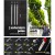 Giantz 65CC Pro-Series 9-in-1 Multi-Tool: Pole Chainsaw, Hedge Trimmer, Brush Cutter & Whipper Snipper, 5.6