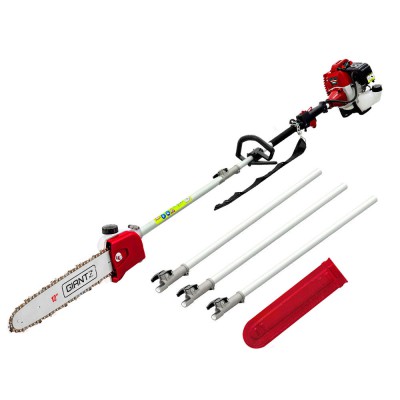 Giantz 62CC Pole Chainsaw 12" Petrol, 4.3m Reach, Anti-Vibration, Bonus Kit, for Effortless High-Branch Cutting
