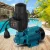 Giantz Auto Peripheral Pump - Rust-Resistant, 35L/min Flow, 370W, Ideal for Irrigation, Cleaning, and Pool Pumping Giantz Auto Peripheral Pump - Rust-Resistant, 35L/min Flow, 370W, Ideal for Irrigation, Cleaning, and Pool Pumping