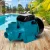 Giantz 750W Peripheral Water Pump - Rust-Resistant Brass Impeller, 3300L/H Flow, 60m Head for Garden & Home Use